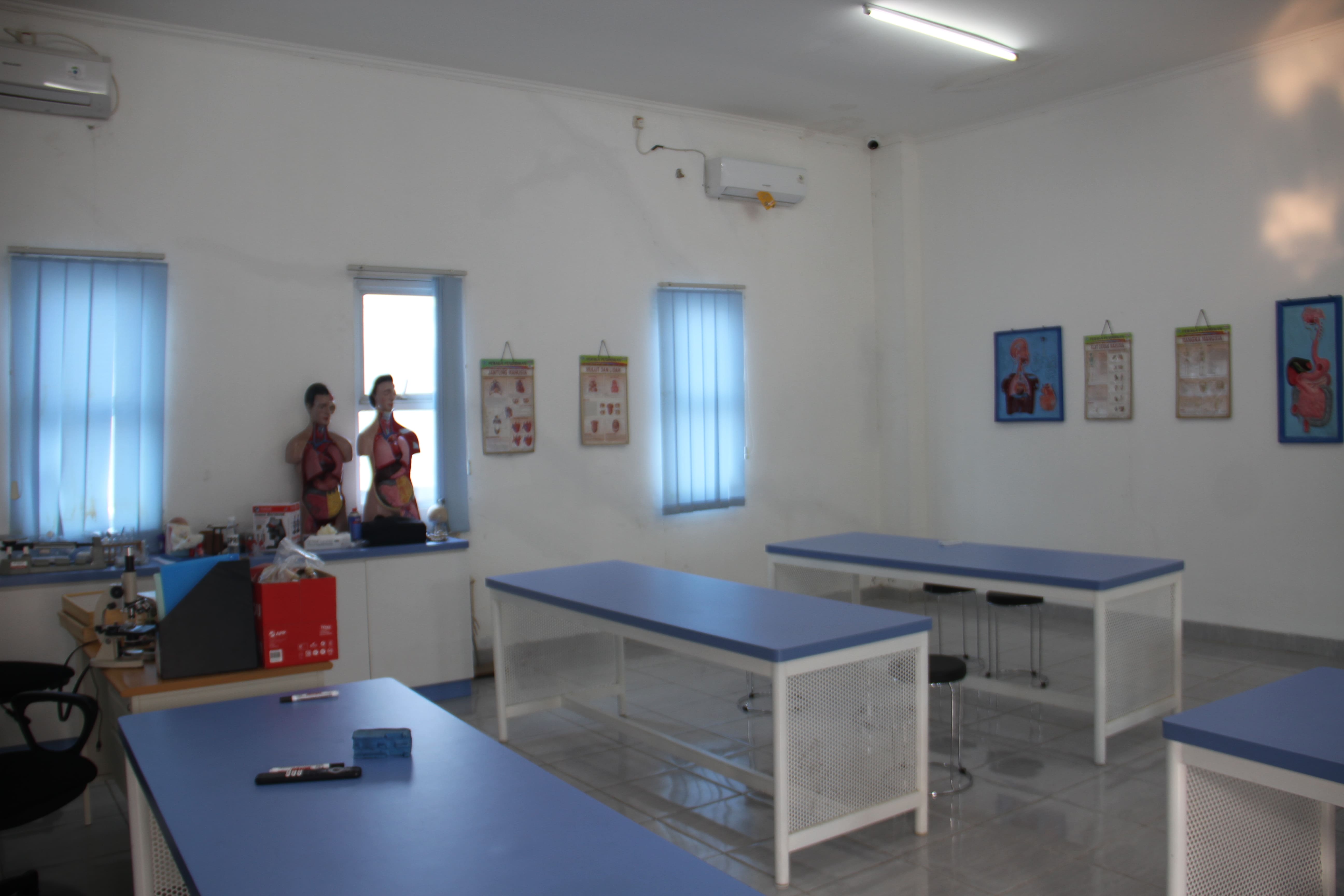 Foto 1